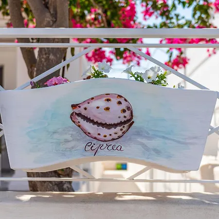 Tatil Evi Terrazza E Conchiglie