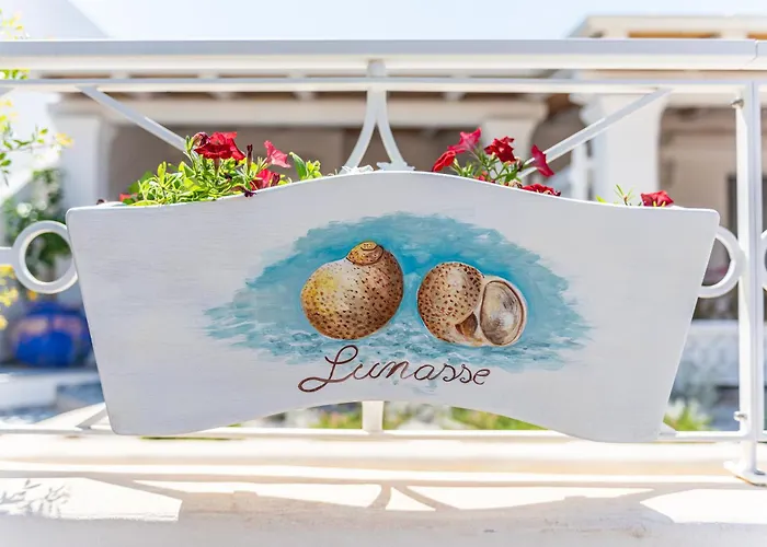 Terrazza E Conchiglie *